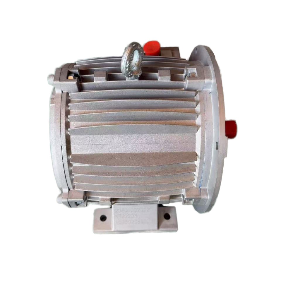 NAILI New Energy Bus Special Air Pump Motor Assembly NT2203 205010020027 Bus Accessories